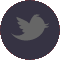 Follow Us On Twitter